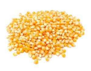 Samples of corn seeds | Download Scientific Diagram