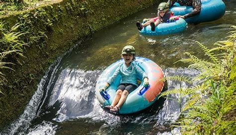 Kauai Backcountry Mountain Tubing | Hawaii Adventure Center