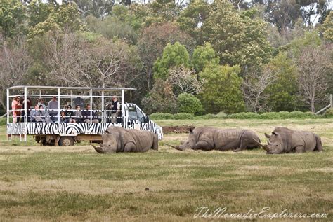 Werribee Open Range Zoo: Lets Go Safari | The Nomadic Explorers | Australian Travel Blog