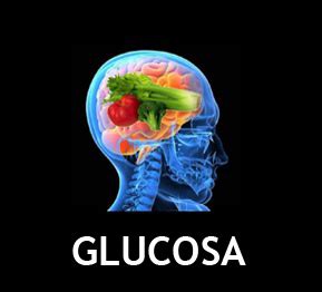 NUTRICION Y SALUD MENTAL: GLUCOSA