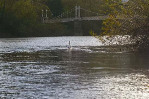 Warwickshire Carp Fishing Lakes Near Me - Discover The Best Fishing Spots