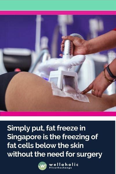 5 Unveiled Truths: The Pros and Cons of Fat Freezing