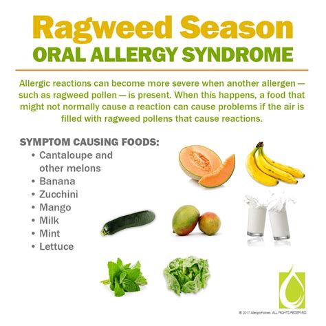 For those with a ragweed allergy, eating certain foods can also cause allergy symptoms. Nasal ...