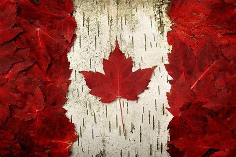 Leaf Canada Flag - Canada Fan Art (39694806) - Fanpop