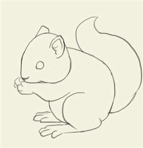 Easy Squirrel Drawing at GetDrawings | Free download