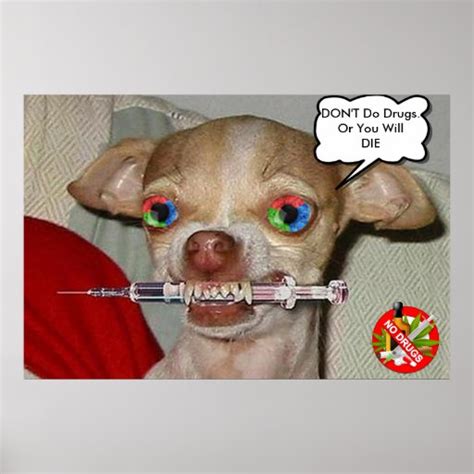 Scary Chihuahua puppy Poster | Zazzle