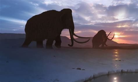 9 Wild Facts About the Woolly Mammoth