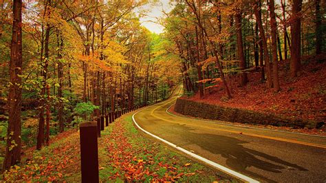 1920x1080 Resolution autumn, forest, road 1080P Laptop Full HD ...