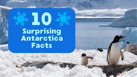 10 Surprising Antarctica Facts | Antarctica, Facts, History 10