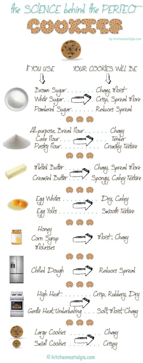 60 Professional Cooking Diagrams and Charts That Simplify Cooking - Page 2 of 6 - DIY & Crafts