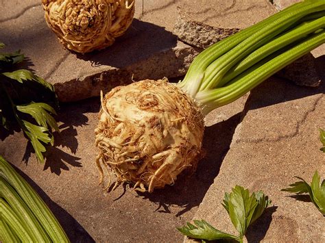 What Is Celeriac: The Vegetable to Cook With This Fall | Best Health