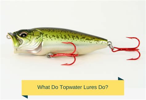 What Do Topwater Lures Do? | Flash Tactical