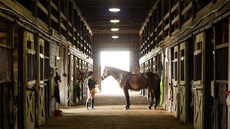 Horseback Riding at Oglebay in Wheeling, WV : Oglebay