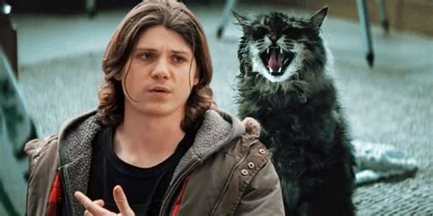 Pet Sematary 2: Prequel Casts Mare of Easttown's Jack Mulhern & More