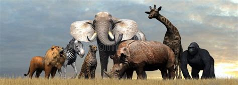 Various Wild Animals of Africa Stock Illustration - Illustration of animal, wildlife: 115718336