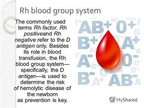 Diet for rh o negative blood type - grabfrosd