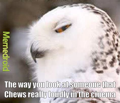 The best Owls memes :) Memedroid