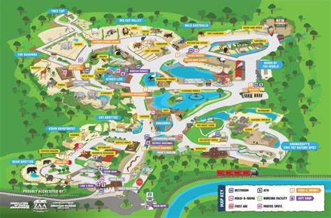 San Antonio Zoo Map PDF File download a printable Image File Official ...