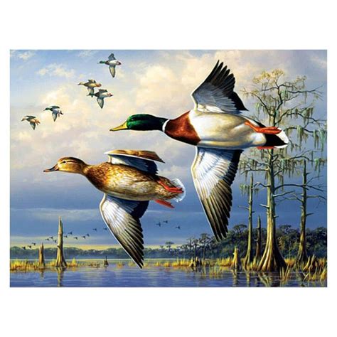 Flying Mallard Ducks Paint By Numbers - Numeral Paint Kit