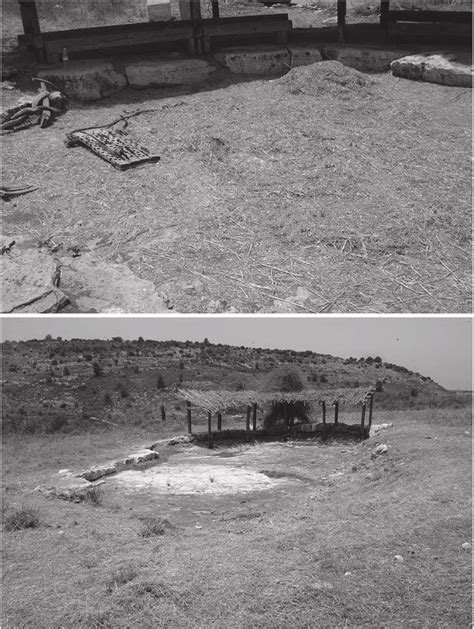 Modern threshing floors at the Neot Kedumim Museum. A) Active threshing ...