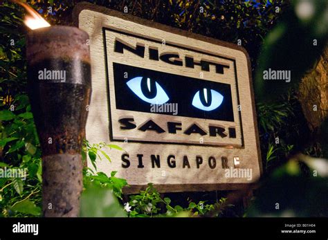 Night Safari Singapore Logo