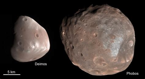 Deimos and Phobos at the same scale in MRO HiRISE camera images. Colors... | Download Scientific ...