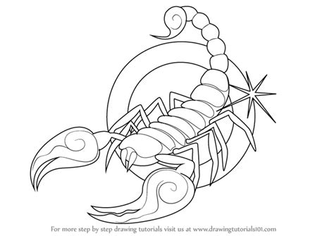 Scorpio Zodiac Sign Coloring Pages Adult Coloring Pages