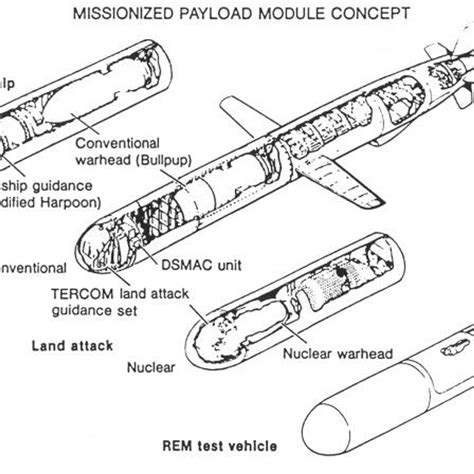 What are Tomahawk Cruise Missiles US Has Sent to Mideast and How Can They Be Defeated?