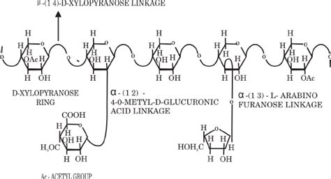 6. Xylan structure with side chains attached (Biely, 1985) | Download Scientific Diagram