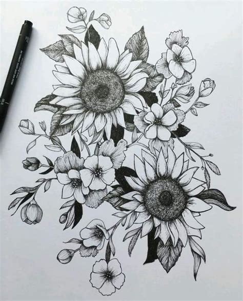 rose-drawing-easy-sunflowers-intertwined-with-other-flowers-black-and-white-pencil-sketch ...