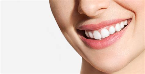 Gum Disease Dental Appointments | Garden Ridge Dentist