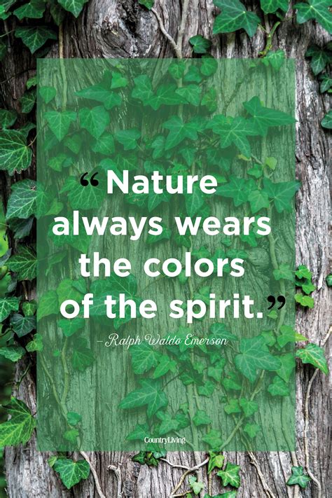 Girls Nature Quotes Quotes adventure quotes words of wisdom john muir ...