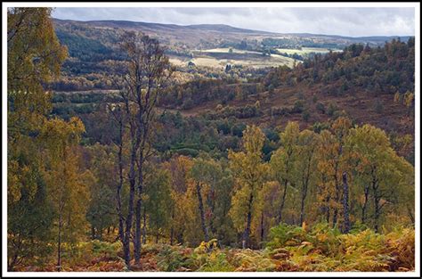 Inflatable Boat Journeys From Scotland: Glen Affric in Autumn