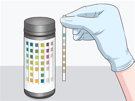 3 Ways to Lower Urobilinogen Levels - wikiHow