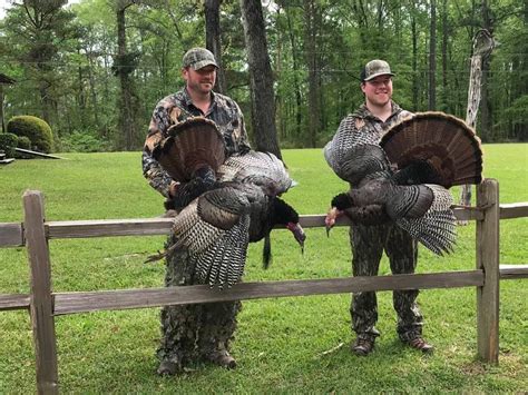 Turkey Hunting at Alabama wild turkey Hunting Lodge