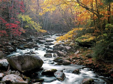 Little River, Tremont, Great Smoky Mountains National Park, Tennessee ...