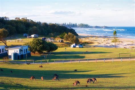 Absolute Beachfront Cabins & Camping on the NSW South Coast. True eco-tourism, wildlife ...