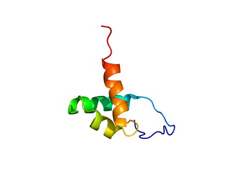 Co-Repressor Proteins