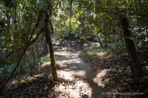 Castle Rock State Park: Hiking to Castle Rock & Castle Rock Falls | California Through My Lens