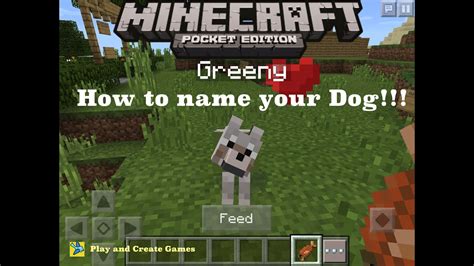 How to Name Your Dog:Minecraft Pocket Edition ️(0.14.0 and older versions.) - YouTube