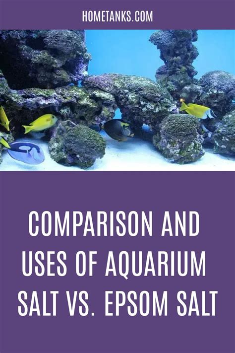 Aquarium salt vs epsom salt comparison and uses – Artofit