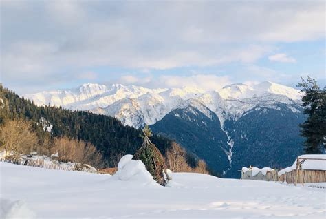 Svaneti Ski Resort • Local Georgia