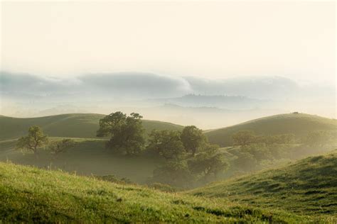 Green hilly valley with lush vegetation on cloudy day · Free Stock Photo