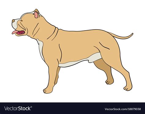 Cartoon of pit bull dog Royalty Free Vector Image