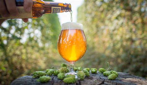 Are Experimental Hops the Future of IPA?