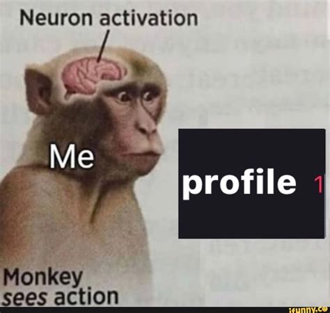 Neuron activation profile Monkey sees action - iFunny