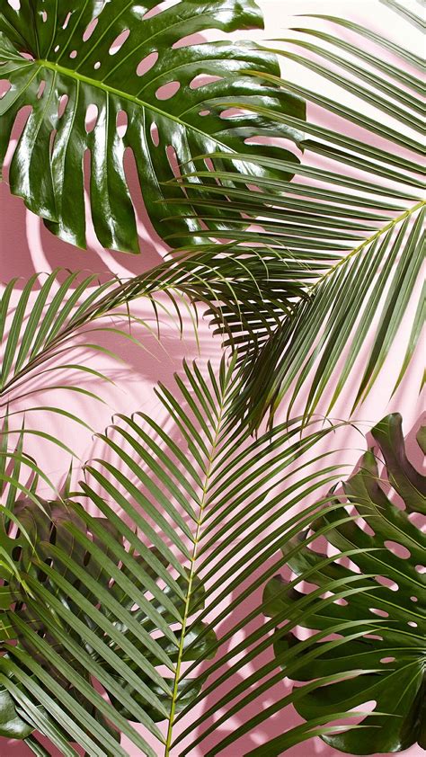 Pink Palm Tree Phone Wallpapers - 4k, HD Pink Palm Tree Phone ...