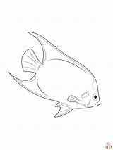 Cute Fish Coloring Pages Printable Free And Easy To Color sketch template