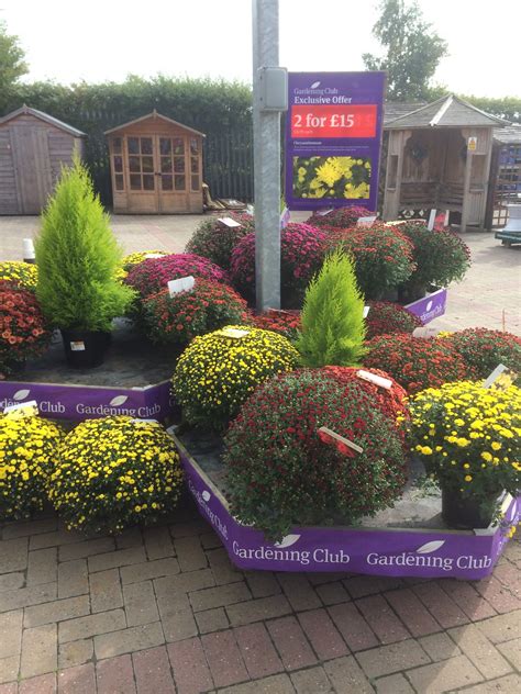 The Garden Centre Group - Wyevale - Shenstone - Lichfield - Garden Centre - Horticulture ...