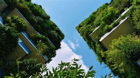 Sustainable Architecture: Then and Now|Articles